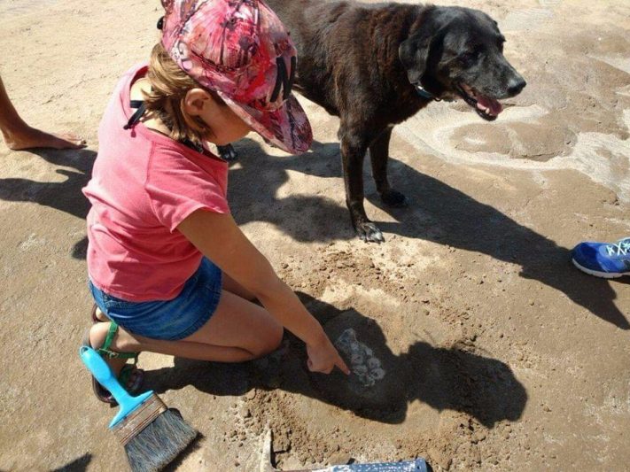 Playa Santa Isabel: Una nena halló restos fósiles de 4 animales prehistóricos