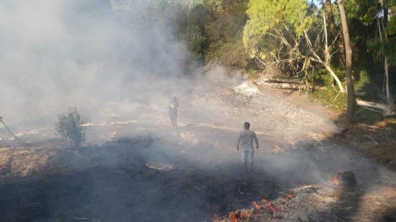 Miramar: se controló un incendio en cercanías al bosque energético