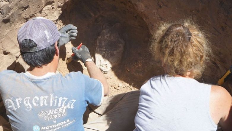 Necochenses construían su casa y encontraron restos de un mamífero de la Edad de Hielo