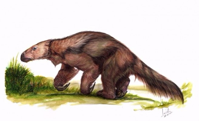 Barranca de los Lobos: Hallan partes óseas de cinco animales prehistóricos