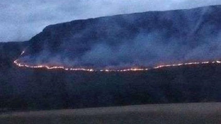 Ocho dotaciones de bomberos y un avión intentan sofocar un incendio de más de 1000 héctareas en Balcarce