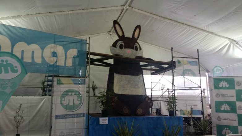 Miramar: Todo listo para la rotura del Conejo Gigante de Pascuas