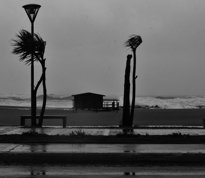 Alerta por fuertes vientos en Miramar y zona: se esperan ráfagas de 70 km/h