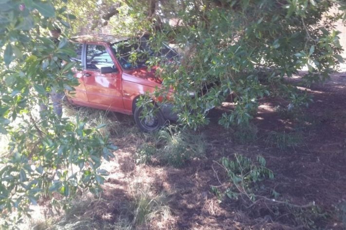 Encontraron auto robado que estaba escondido en Ruta 88