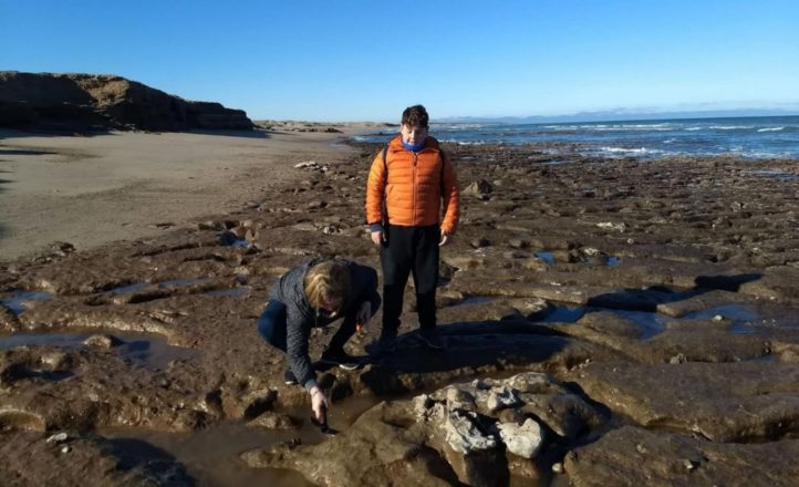Una familia miramarense encontró restos fósiles de un Scelidoterio