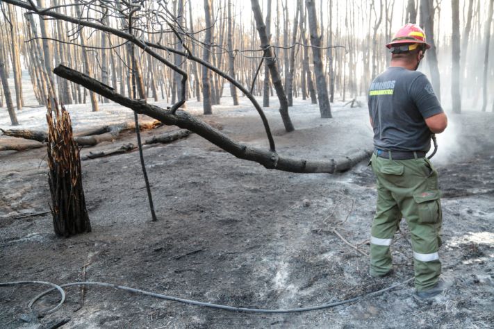 Kicillof visitó Miramar tras el incendio que alcanzó unas 240 hectáreas