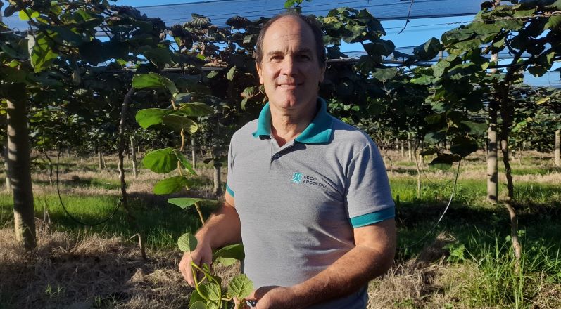 Crónica desde el atardecer de Mar del Sud, donde Esteban Bösenberg comenzó en 2010 a producir kiwi, una fruta atrapante *Por Lola López