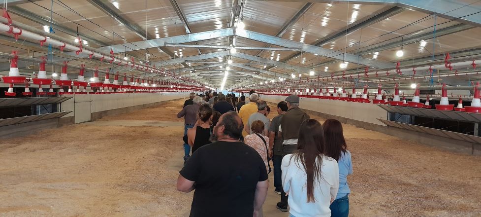 Inauguran en Mechongué la primera etapa de la nueva planta avícola